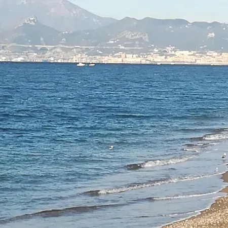 Hotel Calypso-3