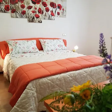 MAYFLOWERS B&B Zona Ospedale Cisanello Pisa-3