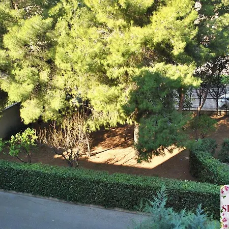 Bed And Breakfast Silvana-2