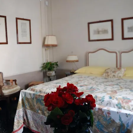 Bed And Breakfast Flowers-2