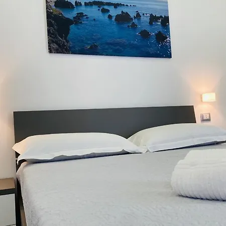 Incentroscalea B&B-2