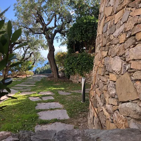 Villa Degli Ulivi B&B-2