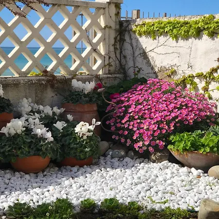 il giardino sul mare B&B-3