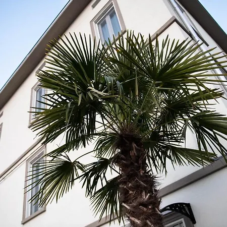 Le Palme-3