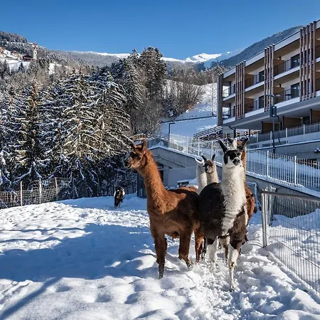 Hotel Torgglerhof-2
