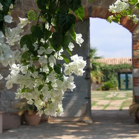Masseria Del Piano-3