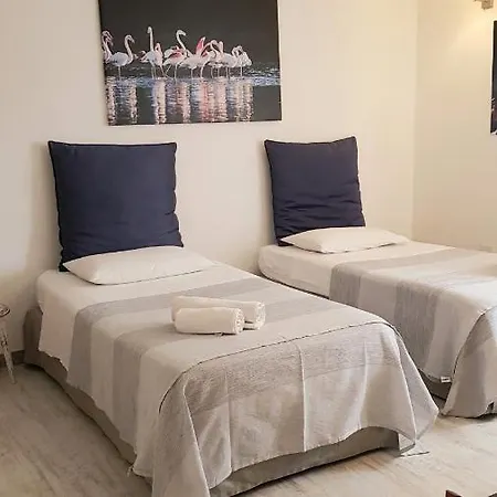 B&B Coco-3