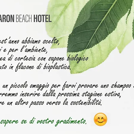 Baron Beach Hotel-2