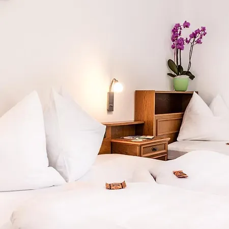 Hotel Linde-3