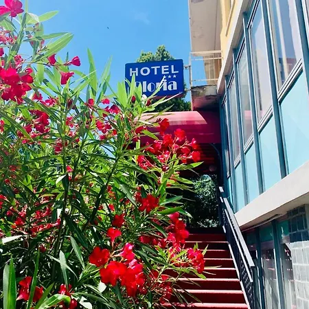 Hotel Gloria-2