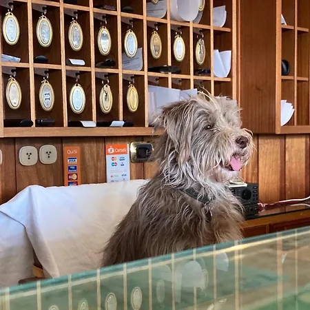 Hotel Ping Pong-2