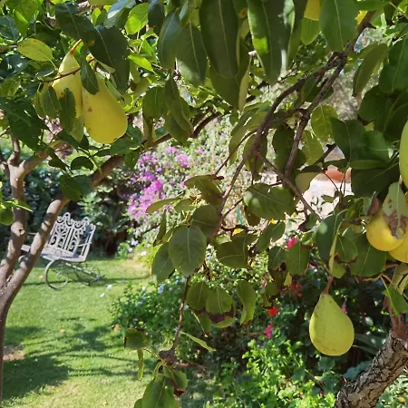 Il Giardino Di Tatiana Rooms&Breakfast-2