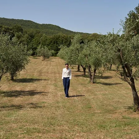 Borgo Gallinaio-2