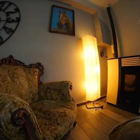 B&B Ciro-2