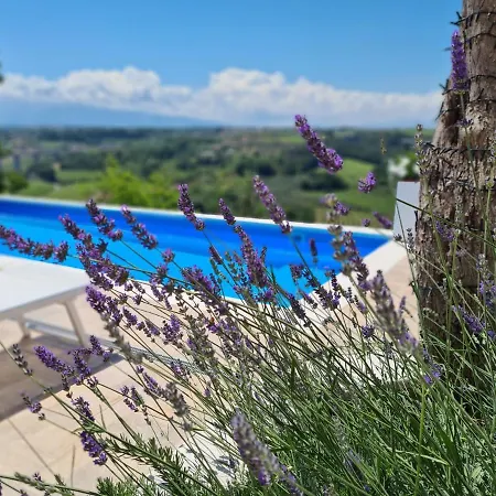 Il Nido B&B-3