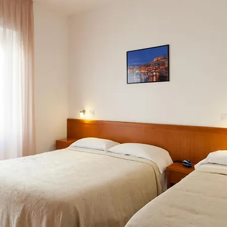 Hotel Viola-3