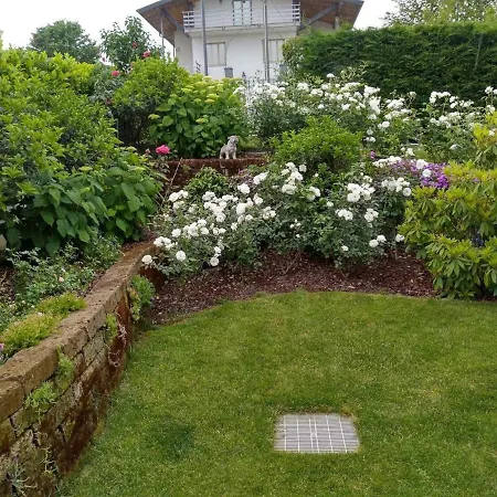 Casa Arge-3