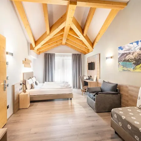 Chalet Aster-2