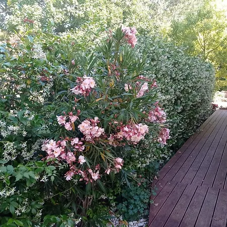 La Casa Di Tara B&B Armonia E Natura-2