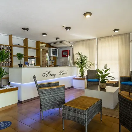 Hotel Mamy Rimini-2
