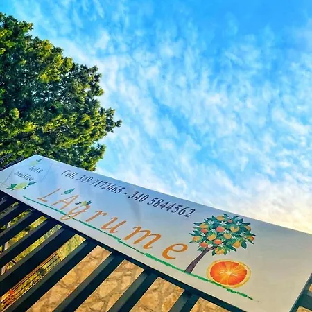 B&B L'Agrumeto-3