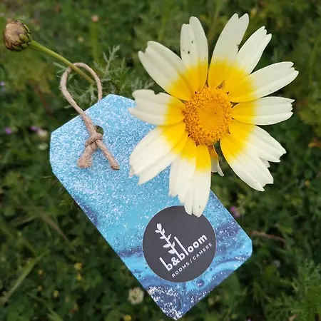 Bandbloom-3
