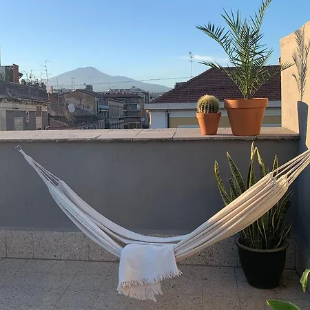 Homestay Rooftop-2