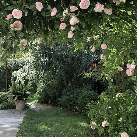 Ca'Vermiglia B&B-2