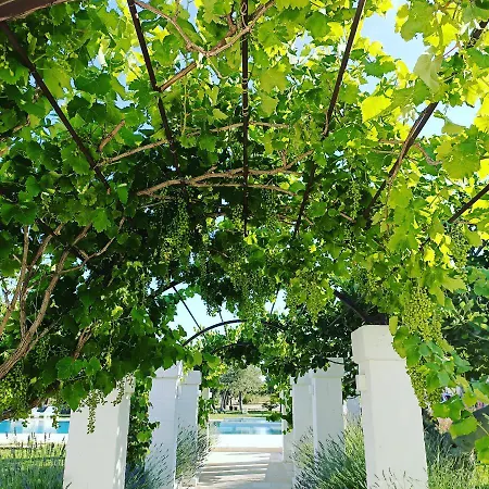 Masseria Almadava-2