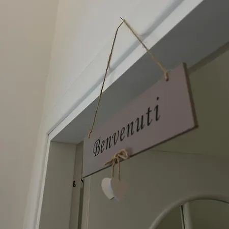 Serapisuite-2