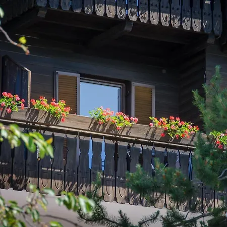 Garni-Residence Villa Paul-3