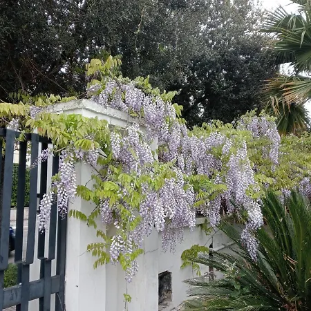 A Casa Di Gio-2