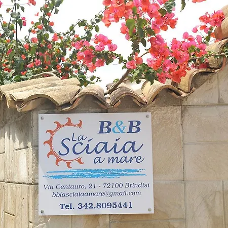 B&B La Sciaia A Mare-2