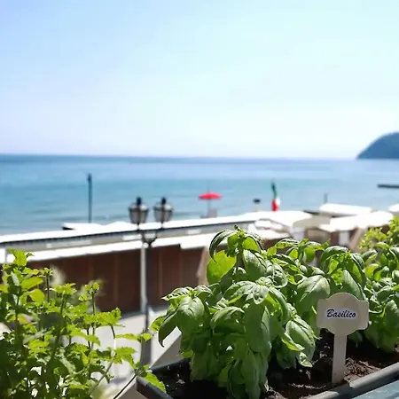 Alassio Vayadu' Arabesque-3