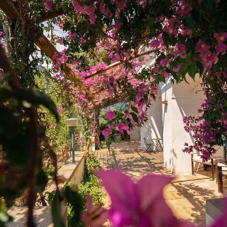 Casa Flora-3