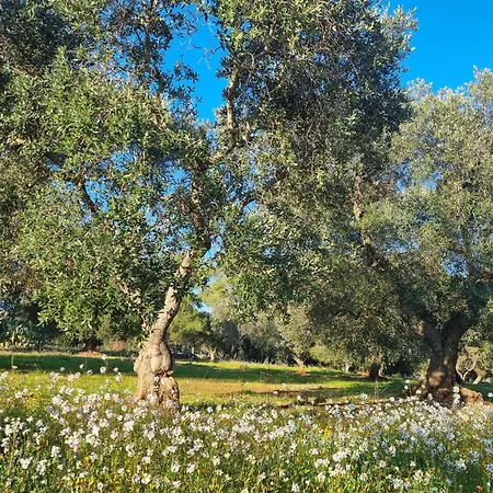I Trulli Di Spinaruta-3