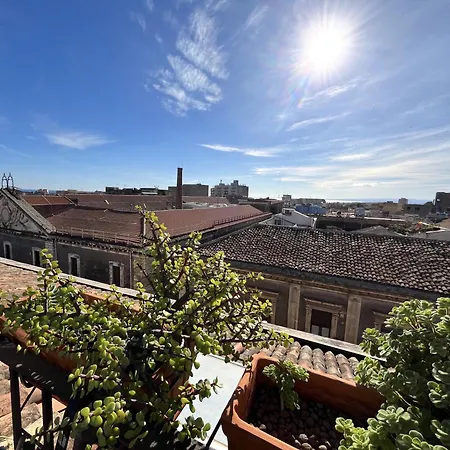Tricora Sicilian B&B-3