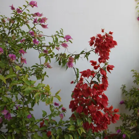 B&B San Lorenzo-3