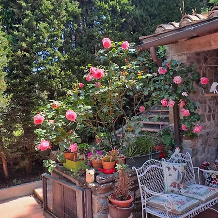 B&B La Dimora Di Alida-3