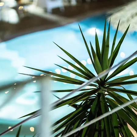 Rhelizeone & Spa جميل-2