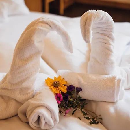 Aparthotel Maso Corto-3