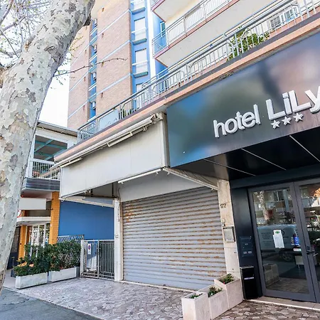 Hotel Lily-3