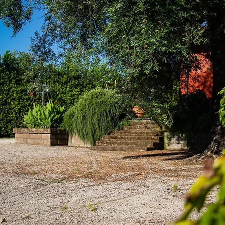 Selva Castalda-2