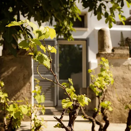 Casale alle Vigne-2