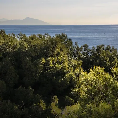 Ena Hotel-3