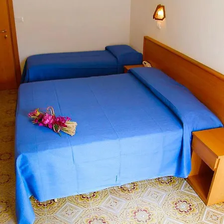 Hotel Alessi** Rimini-2