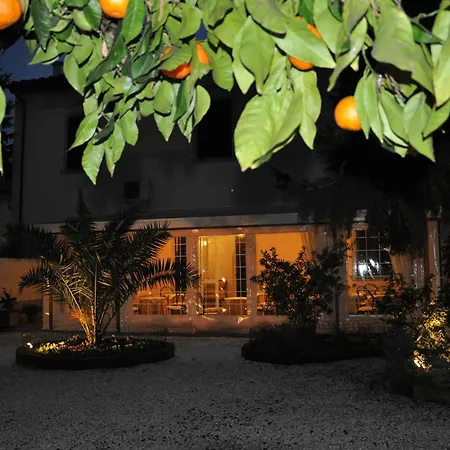 Il Mattino Ha L'Oro In Bocca-2