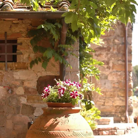 Hotel Colle Etrusco Salivolpi-2