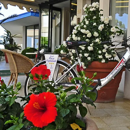 Hotel Plaza Esplanade-2