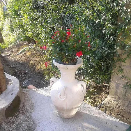 Il Cottage B&B-2